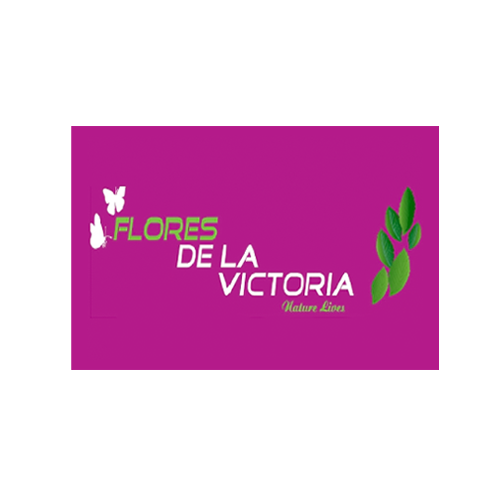 flores_de_la_victoria