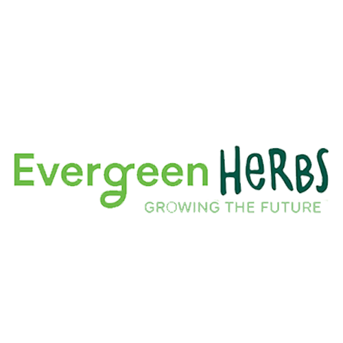 evergreen_herbs