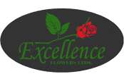 Logo-Excellence-371x246-174x115