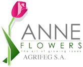 anne-flowers