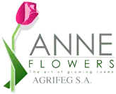 anne-flowers