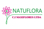 logo_maxiflores_lc-174x115