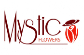 logo_mystic_area_1-174x115