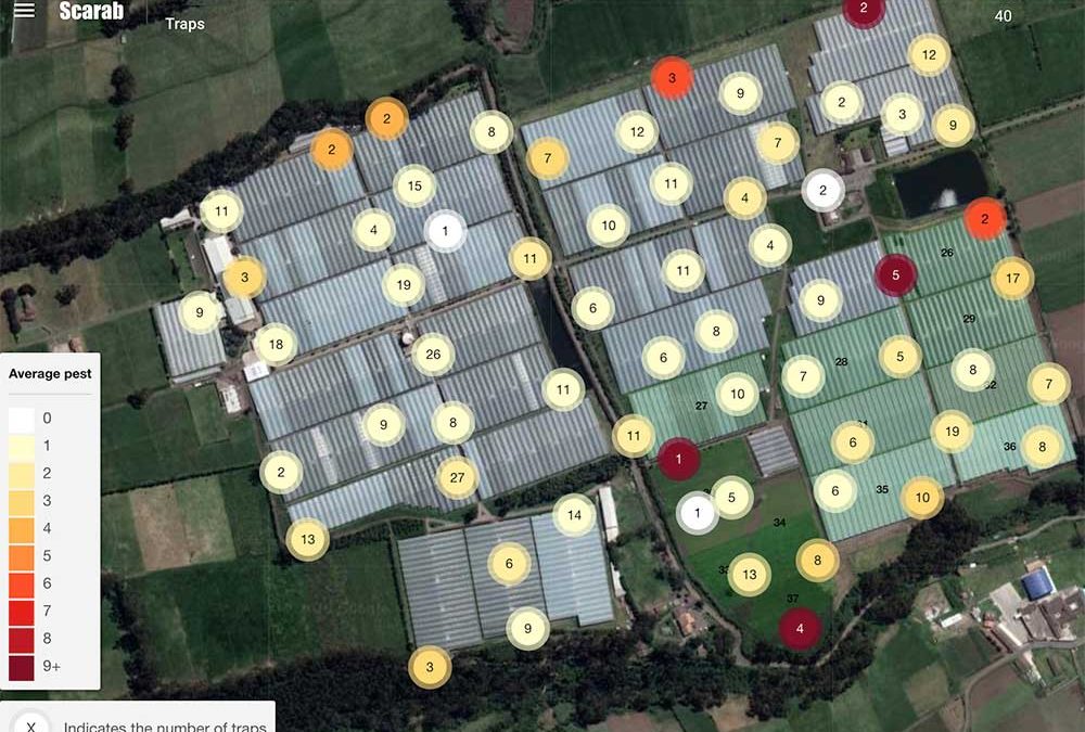 Scarab Solutions announces enhanced scouting, tracking and mapping solution to help Kenyan Rose Farms combat the threat of the False Codling Moth (FCM) 