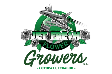 Jet Fresh 371x246