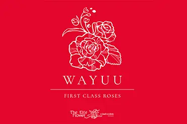 Wayuu 371 x 246